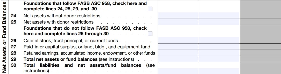 Net Assets or Fund Balances (Line 24-30)