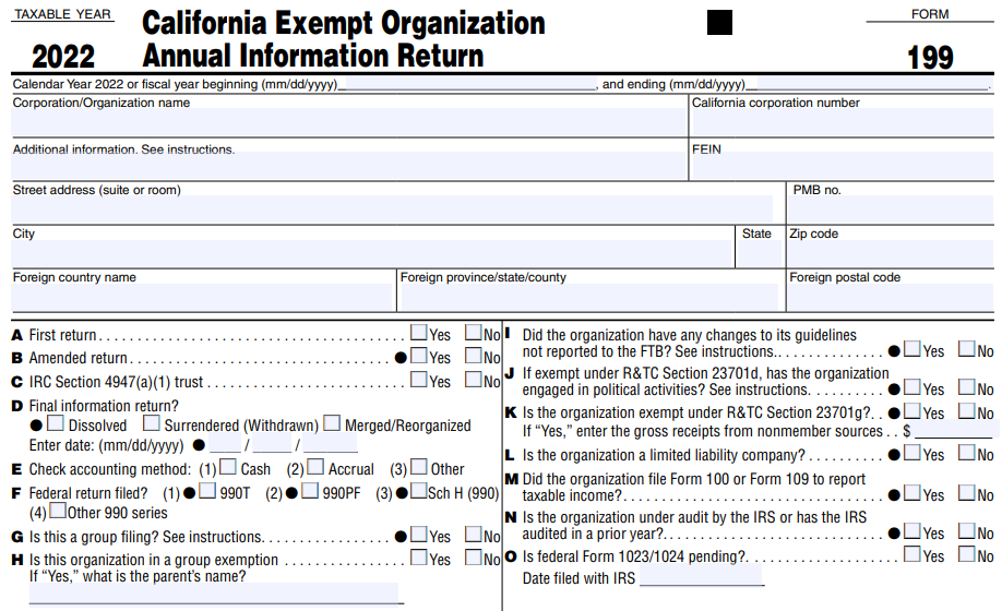 file form 199